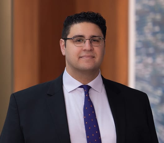 Media item displaying Youssef M. Helmi